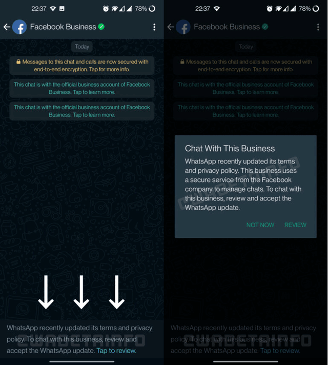 whatsapp官方中文正版_whatsapp国内正版下载_whatsapp中文官网下载