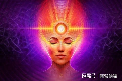 中文版手机电子琴软件_中文版手机电子琴_whatsapp中文手机版