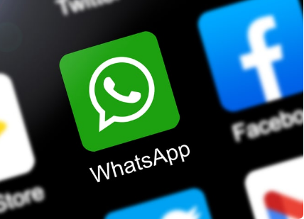 西柚属于是_whatsapp是免费的吗_whatsapp是属于什么