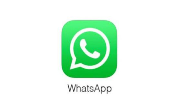 whatsapp正版下载_正版下载怪兽大乱斗_正版下载鹿未来篇无广告