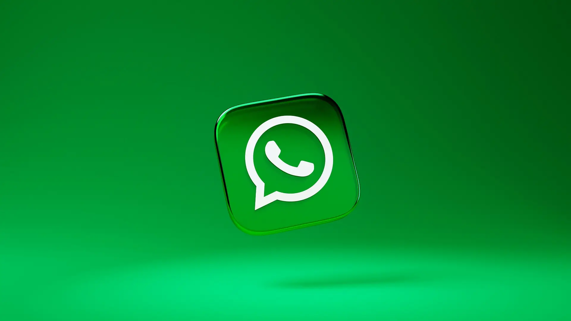 中文最新版泰拉瑞亚_whatsapp中文最新版_中文最新版小猫钓鱼游戏破解版