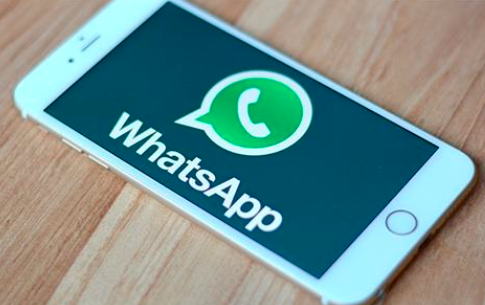 正版官方蛋仔派对_正版官方的浙江风采网_whatsapp官方正版