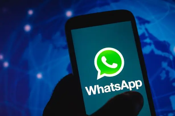 属于是什么意思啊_whatsapp是属于什么_西柚属于是