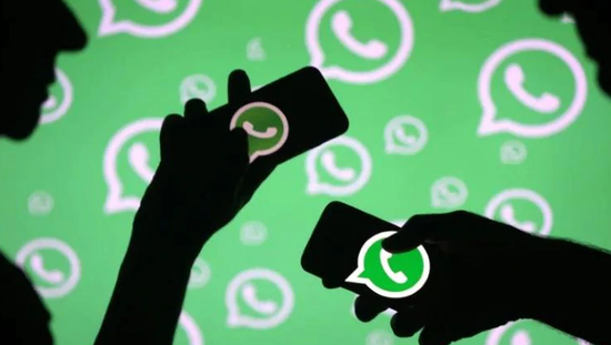 whatsapp安卓版_whatsapp安卓版_安卓版whatsapp下载