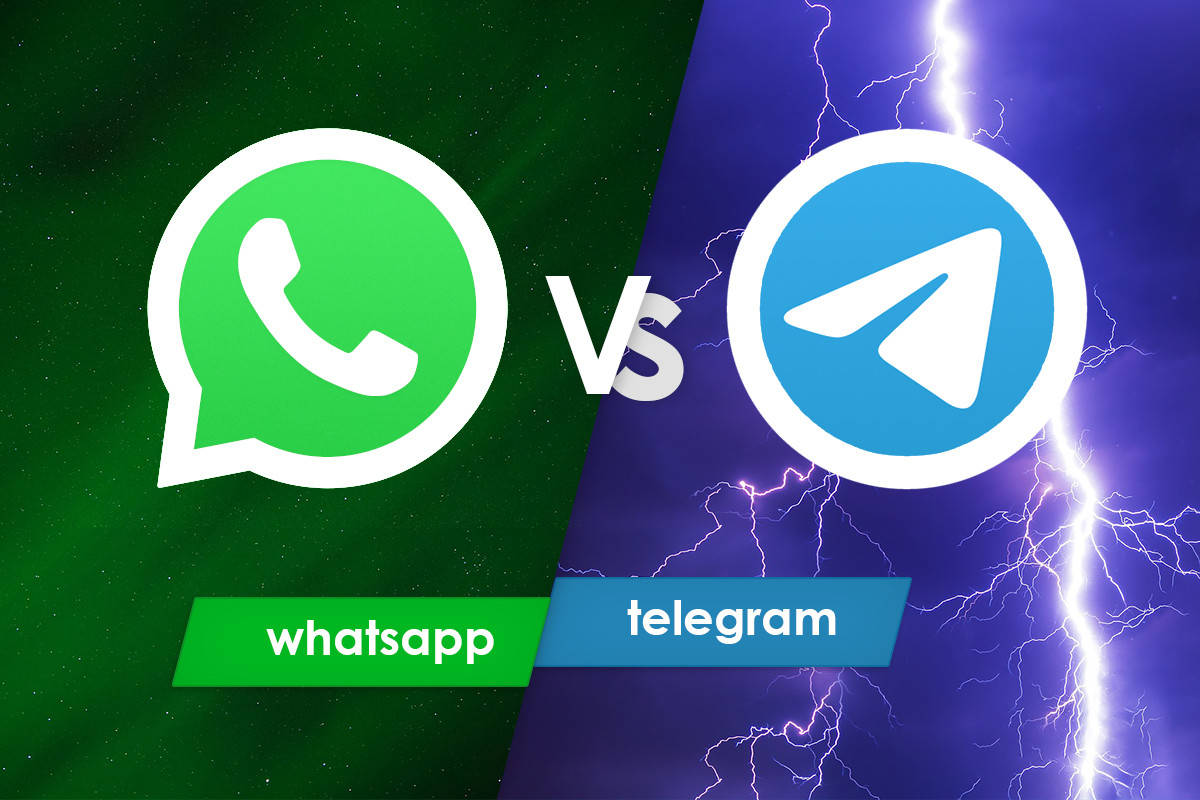 whatsapp中文最新版-WhatsApp中文最新版本更新，界面清新优化功能增多，群聊体验更加愉快