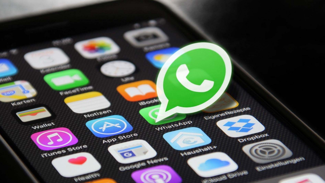 whatsapp官网下载-WhatsApp官网下载体验分享：简洁清晰界面吸引，操作流畅舒心