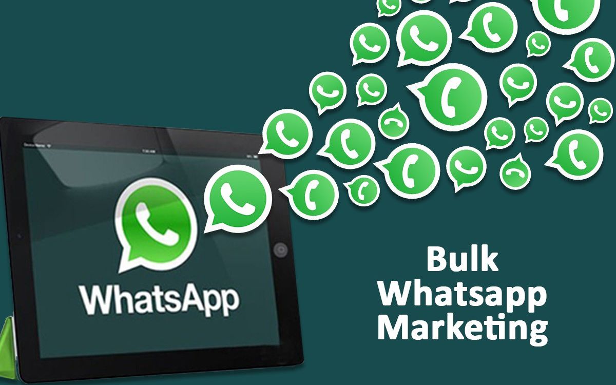 whatsapp是属于什么_属于是是什么意思_whatsapp是免费的吗