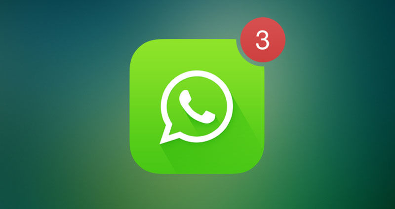 whatsapp如何聊天-WhatsApp：带来新鲜有趣聊天体验的交流平台