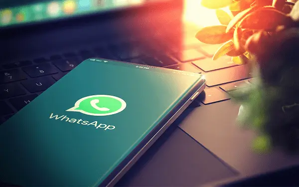 官网下载的win10怎么激活_whatsapp官网下载_官网下载app豌豆荚