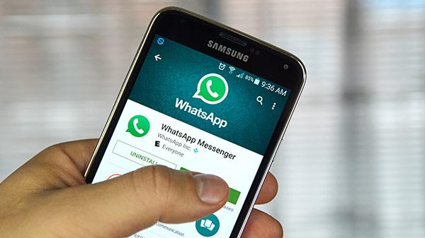 官网下载app豌豆荚_whatsapp官网下载_官网下载安装