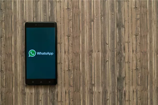 正版下载蛋仔派对_whatsapp正版下载_正版下载怪兽大乱斗