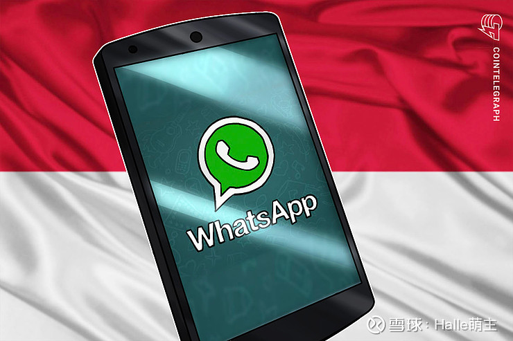 whatsapp正版下载-WhatsApp 正版下载的重要性：保护隐私与数据安全