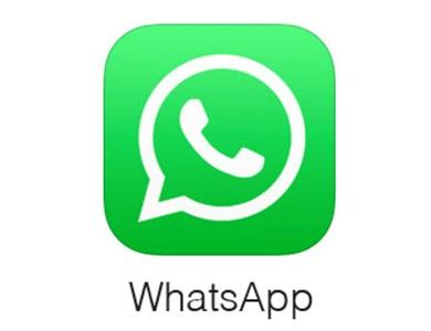 whatsapp正版下载_正版下载蛋仔派对_正版下载怪兽大乱斗