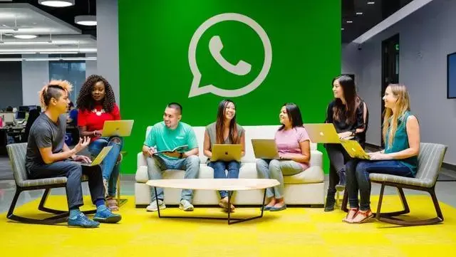 公司是我家_whatsapp是那个公司_公司是什么意思