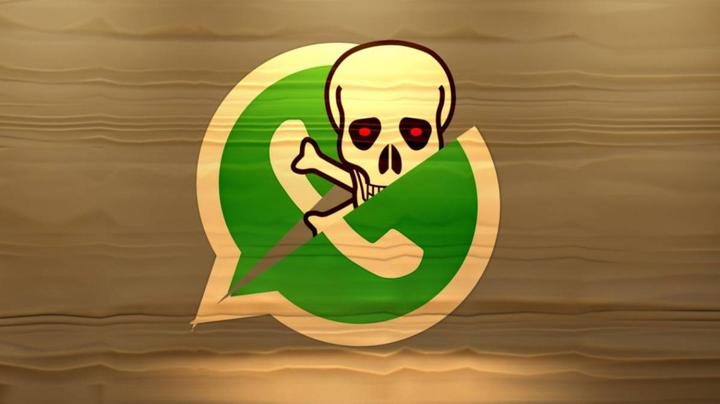 中文最新版樱花校园模拟器_whatsapp中文最新版_中文最新版泰拉瑞亚