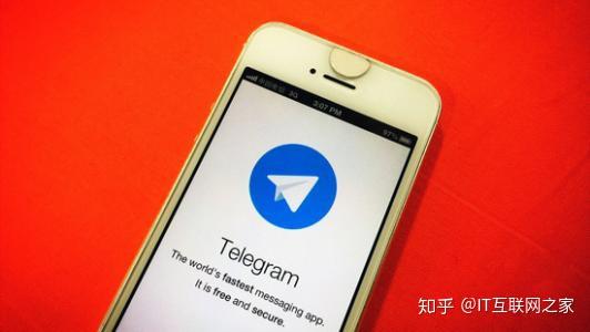 正版下载鹿未来篇无广告_正版下载蛋仔派对_whatsapp正版下载