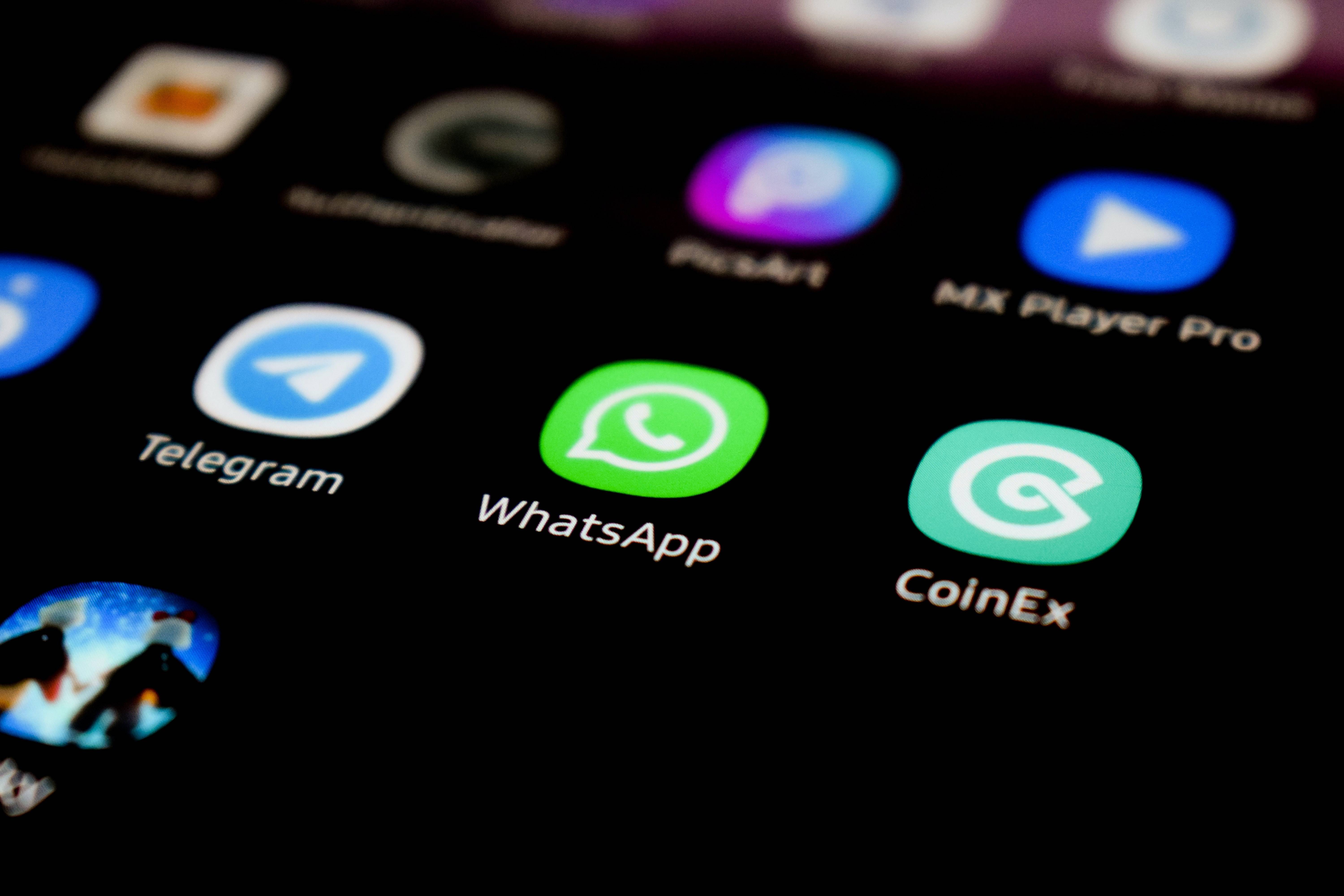 whatsapp中文最新版_中文最新版小猫钓鱼游戏破解版_中文最新版樱花校园模拟器