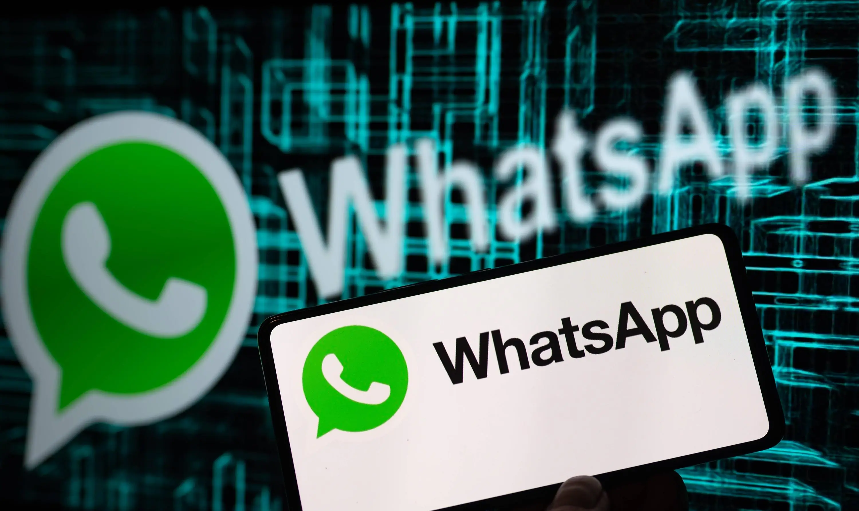 官网下载路线_whatsapp怎么下载官网_官网下载安装