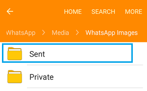安卓下载whatsapp教程_whatsapp怎么下载安卓_安卓下载whatsapp方法