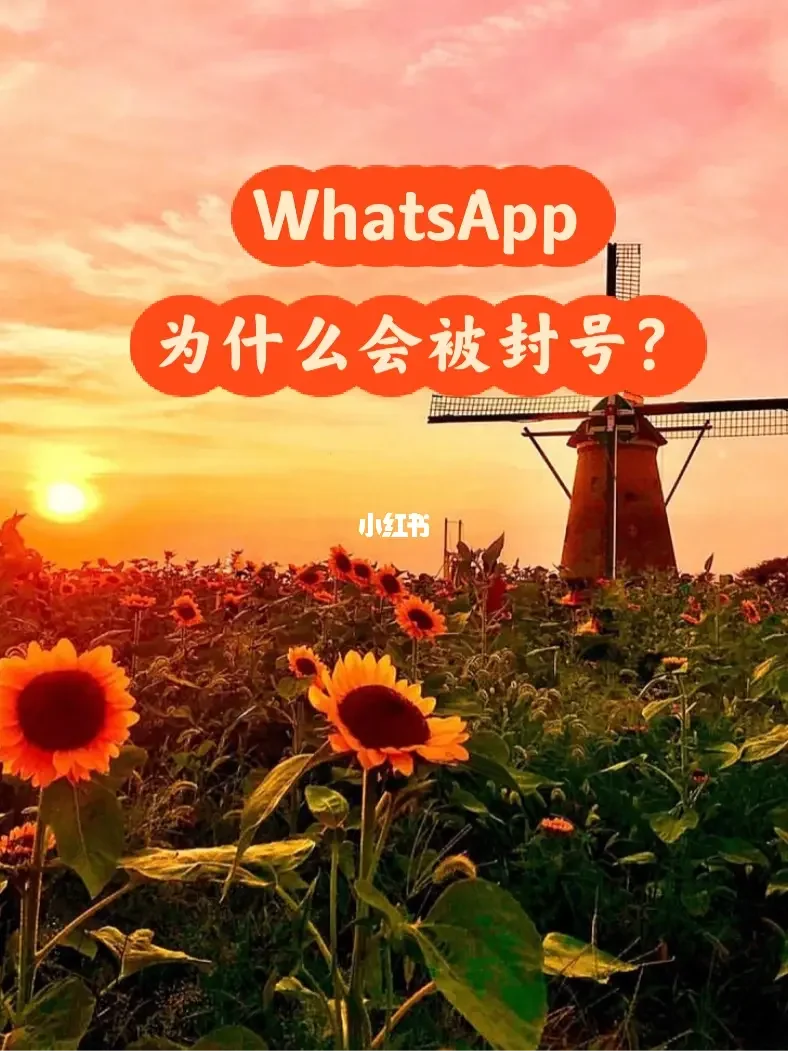 whatsapp如何聊天-WhatsApp 聊天：情绪的大爆发，语音消息功能超给力