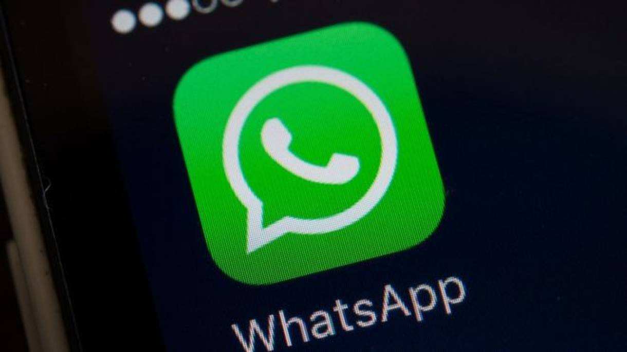 whatsapp正版下载_正版下载233乐园_正版下载蛋仔派对