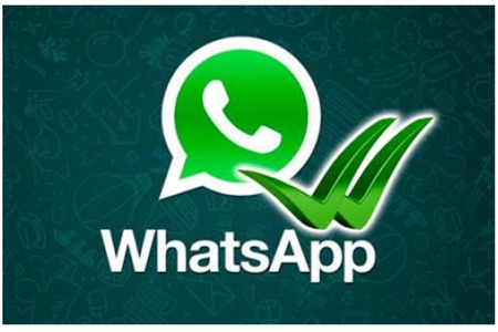 whatsapp官方下载中文版_whatsapp官方下载中文版_whatsapp官方下载中文版