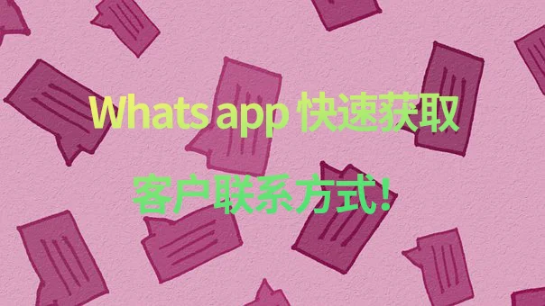 安卓下载WhatsApp_安卓下载whatsapp方法_whatsapp怎么下载安卓