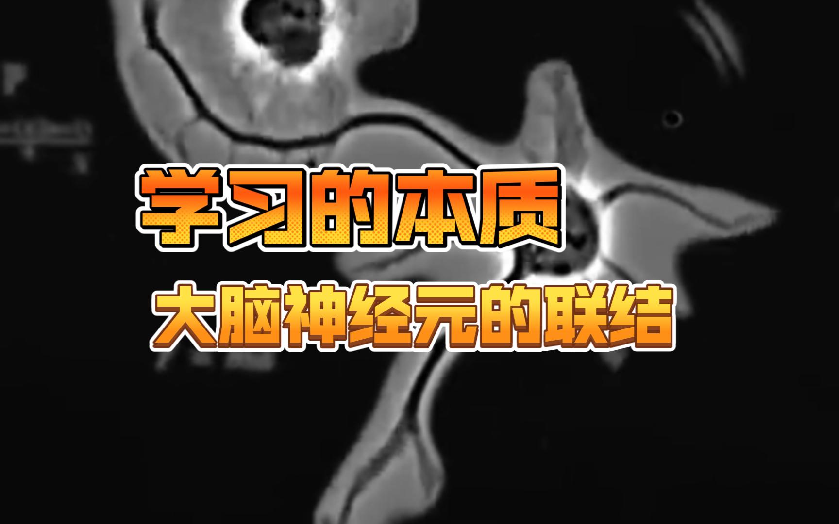 正版官方的浙江风采网_whatsapp官方正版_正版官方赚钱游戏