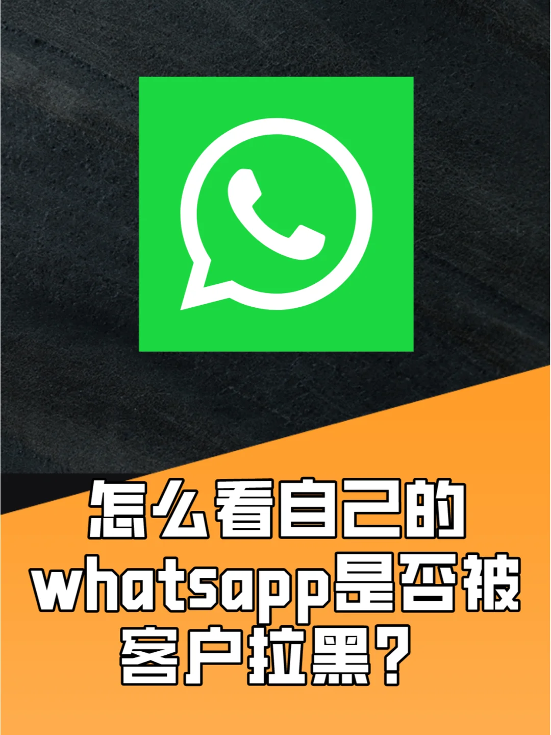 whatsapp中文官方下载_aptoide中文官方下载_坚守阵地2中文官方下载