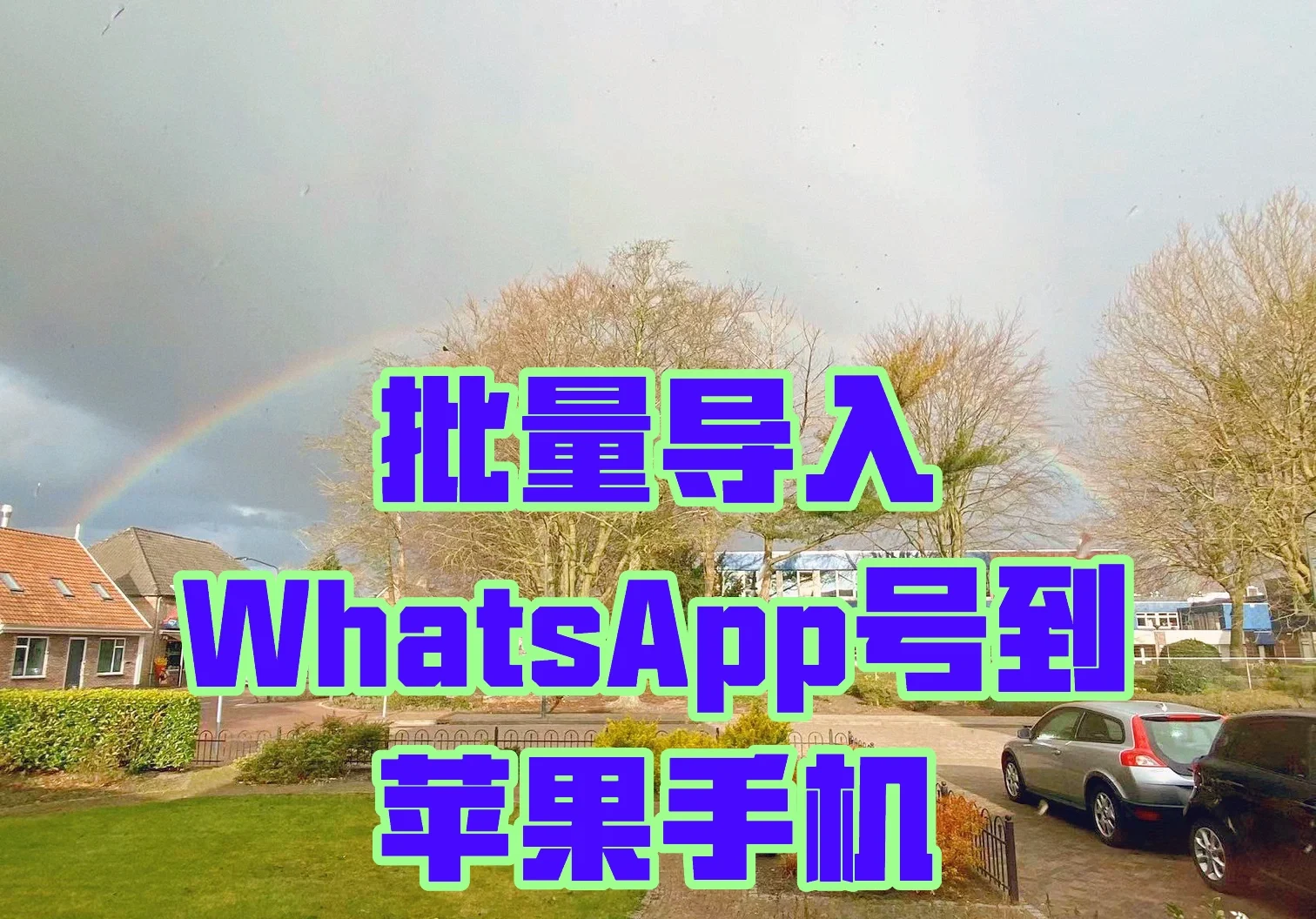 安卓下载whatsapp教程_安卓下载whatsapp方法_whatsapp怎么下载安卓