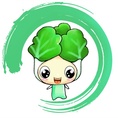 白菜挖软件 白菜挖软件