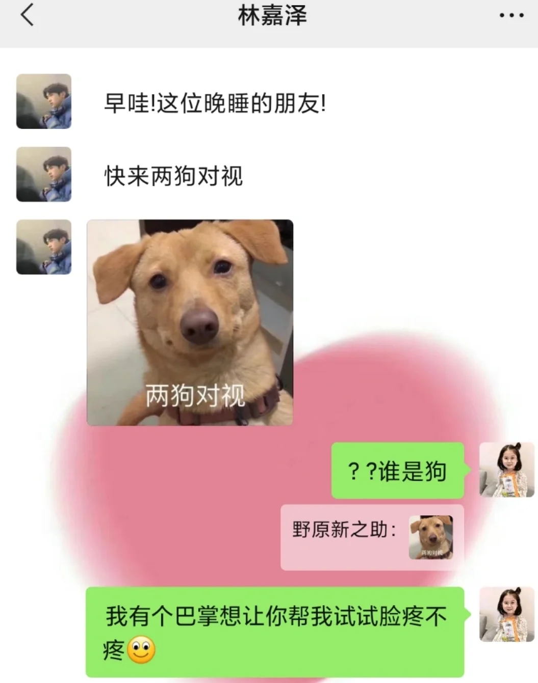 whatsapp如何聊天_whatsapp聊天背景_whatsapp是什么