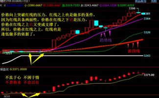 中粮期货从业考试题库大全专业版下载 
