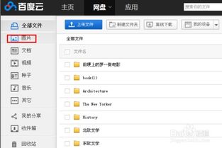 什么什么里奥冒险 