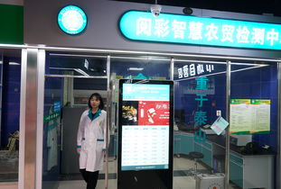 崩溃大陆满级全物品安卓版 