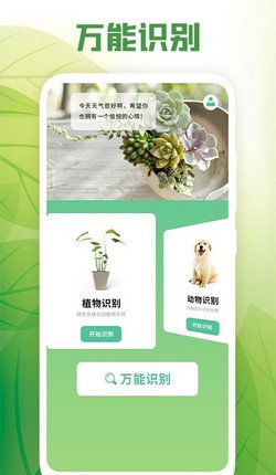 花卉比赛大师最新版2024下载安装 