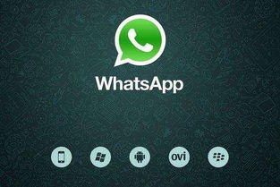 whatsapp断网,揭秘全球