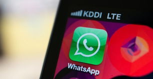 whatsapp 名字,探索WhatsApp名字背后的个性与社交魅力