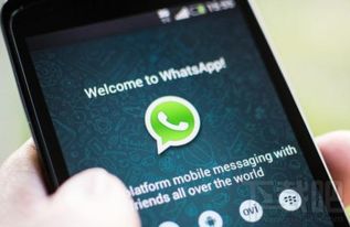 whatsapp服务器地址怎么办,构建安全通信的幕后力量