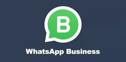 whatsapp巴基斯坦区号,区号解析与社交文化概览