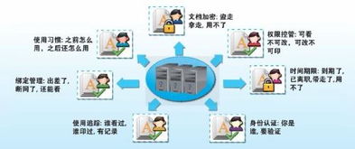 多邻国免费学英语APP 