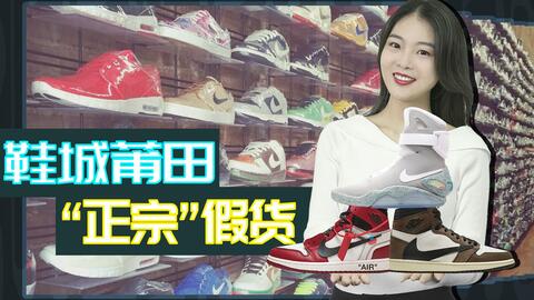 阳光下的真实安卓版 