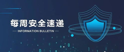 拾觅交友聊天软件下载 