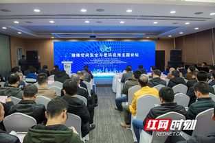 疯狂刷题软件下载安装 