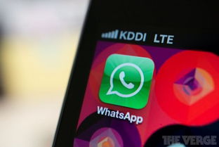 whatsapp网页版百度