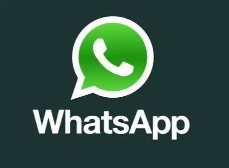 whatsapp美国使用率,社交巨头的使用率揭秘