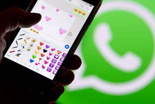 whatsapp加人进群聊,构建高效社交圈