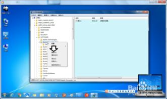 skype注册表位置,轻松掌握账户信息管理技巧