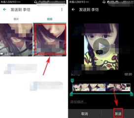 whatsapp的动态发的视频下载,下载与精彩内容回顾