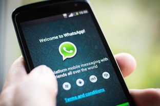 whatsapp创业,WhatsApp的创业传奇之路